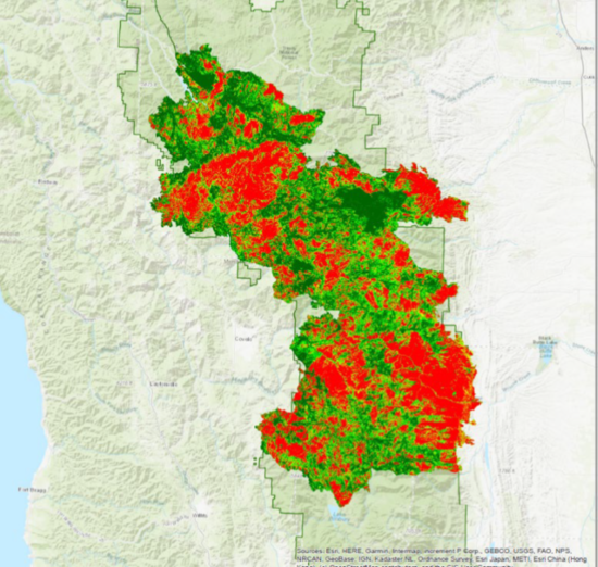 August Complex Fire